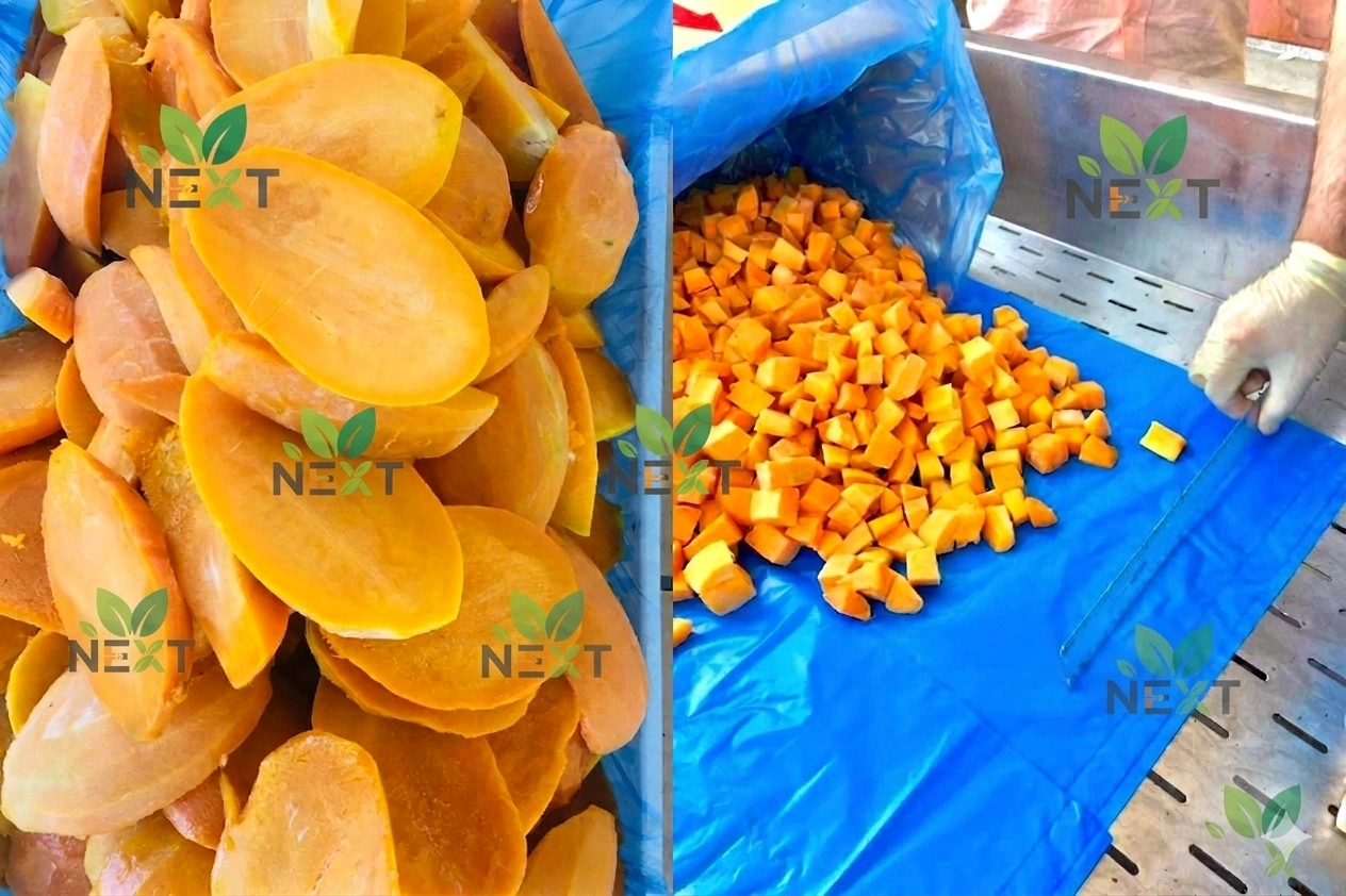 Premium Frozen Mango: Farm-Fresh Quality All Year Round
